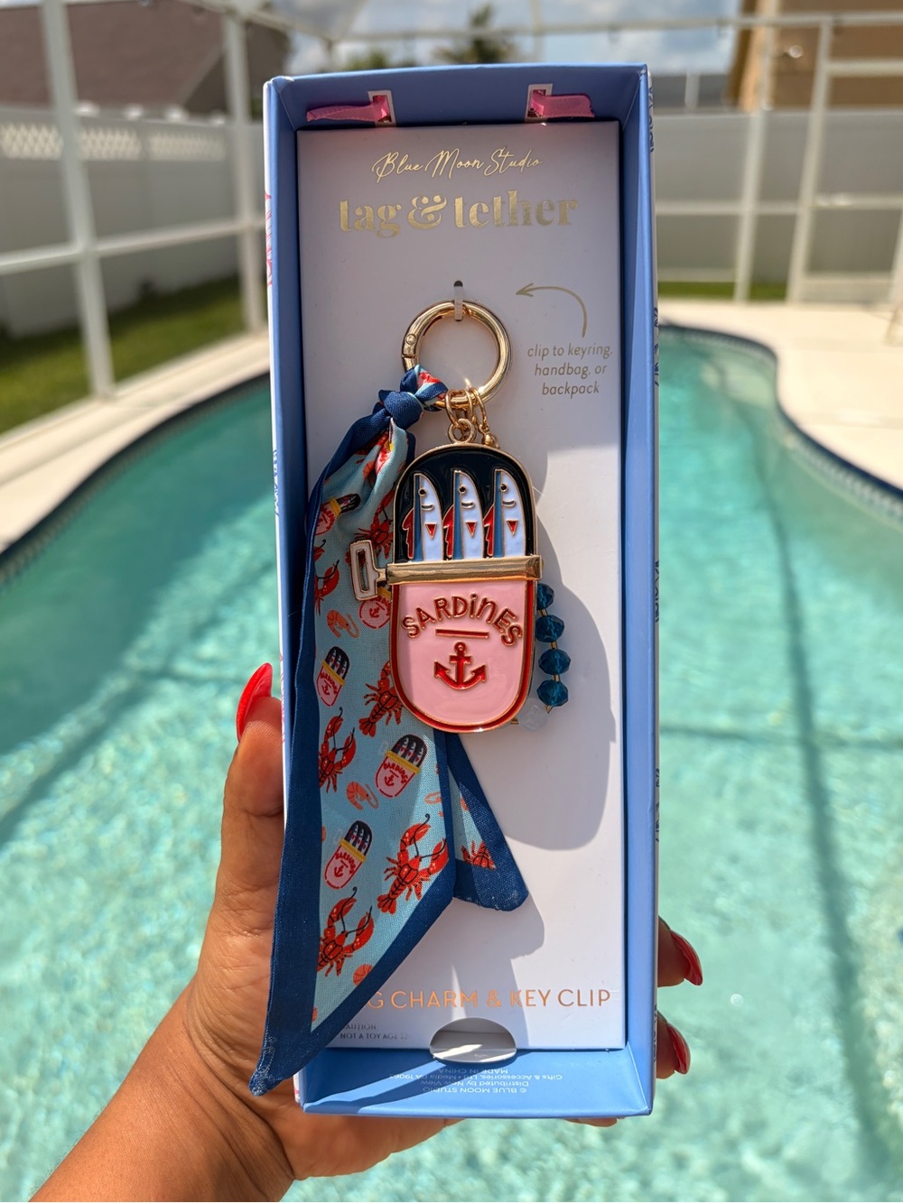 Sardines Keychain with Blue Scarf, Bag Charm & Keychain